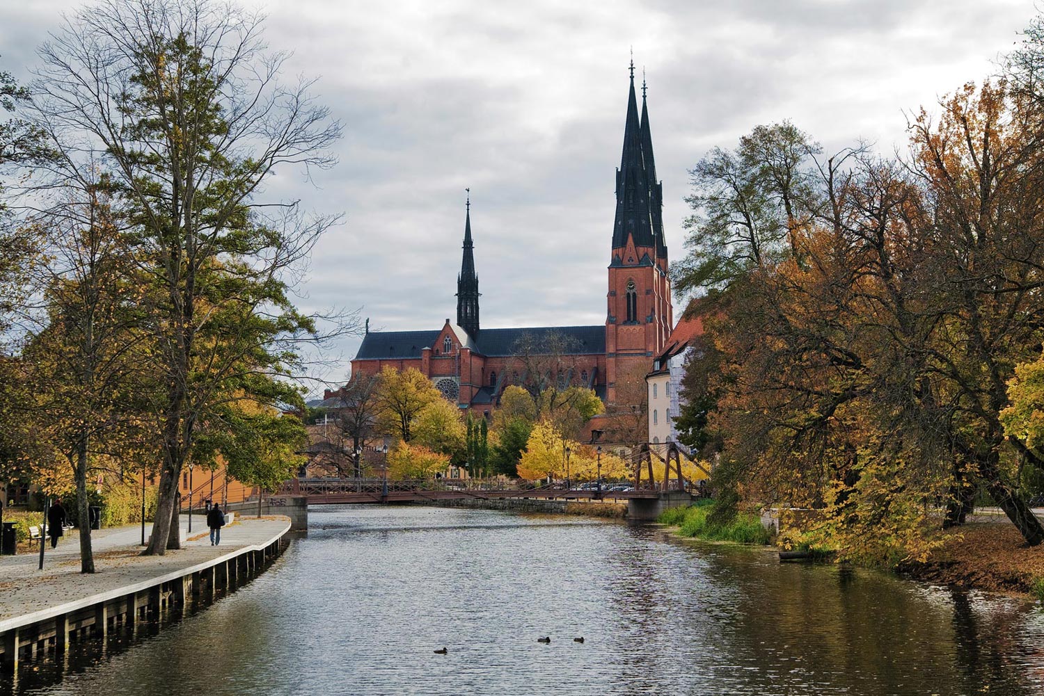 Uppsala kyrka